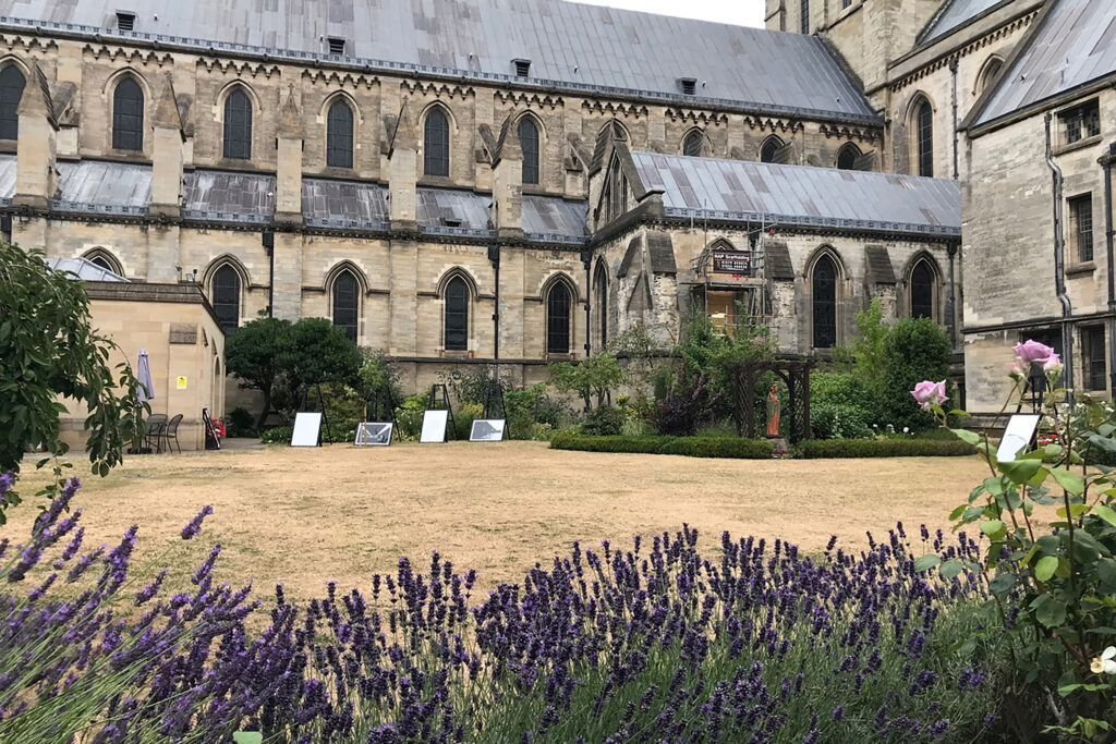 Outside of St John the Baptist Cathedral with lavender in foreground.