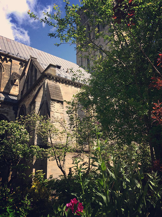 St John the Baptist Cathedral seen through trees and plants.