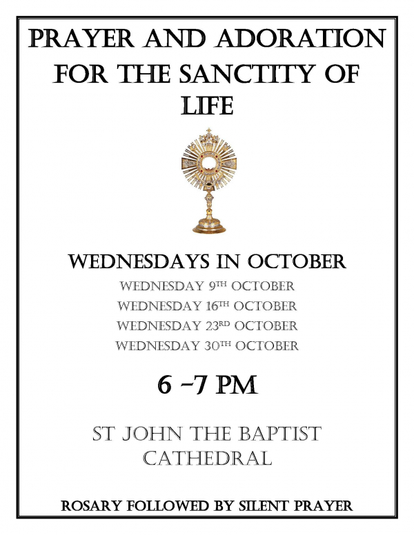 Prayer and Adoration for the Sanctity of Life Timetable