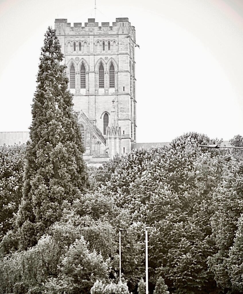 Black and white photo of trees in foreground and cathedral tower behind largest tree.